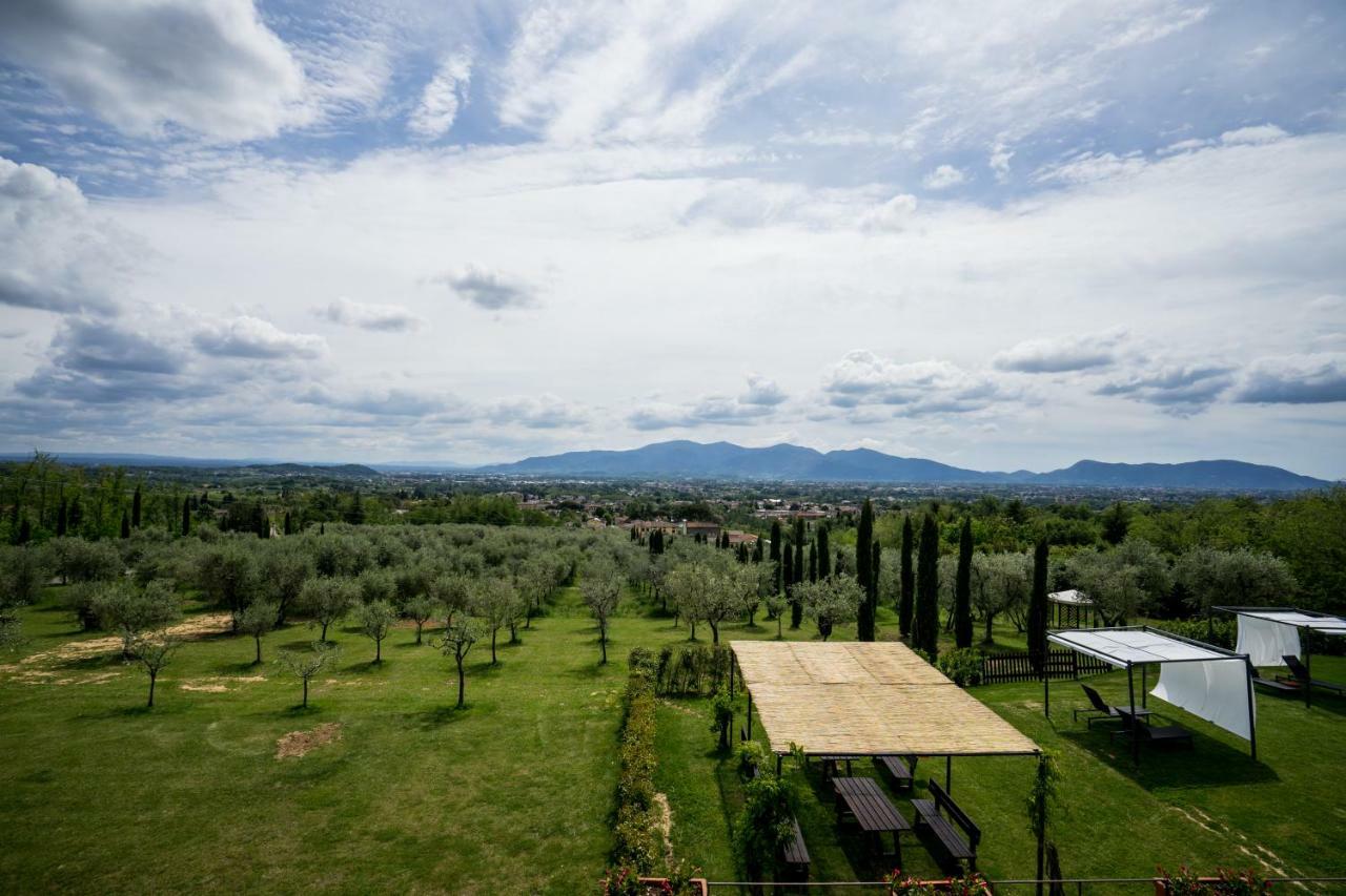 Accogliente Alloggio Con Vista E Piscina Lucca Eksteriør billede