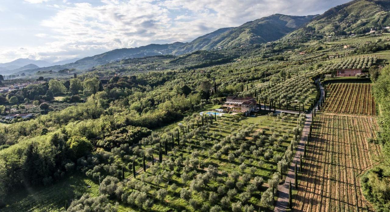 Accogliente Alloggio Con Vista E Piscina Lucca Eksteriør billede