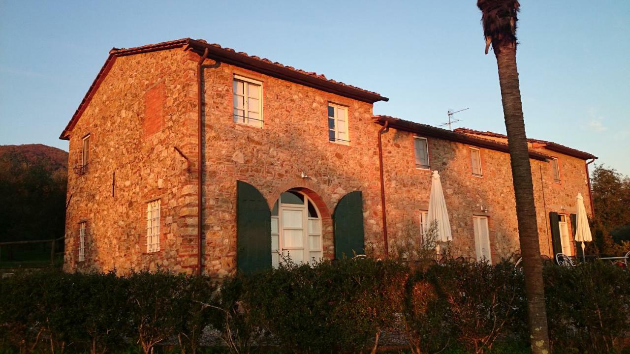 Accogliente Alloggio Con Vista E Piscina Lucca Eksteriør billede